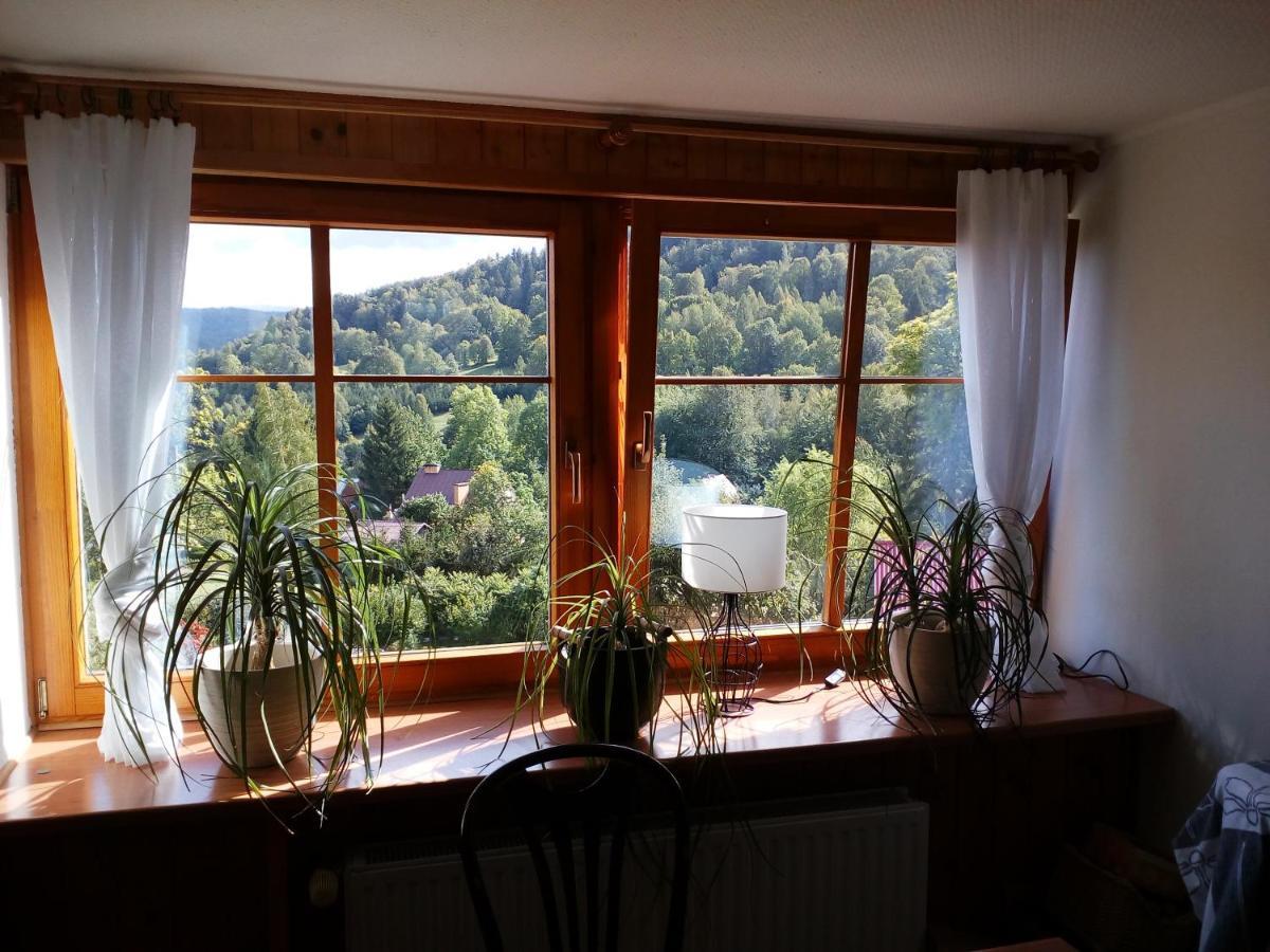 Apartamencik Na Slonecznej Piechowice (Karkonosze) Exterior foto